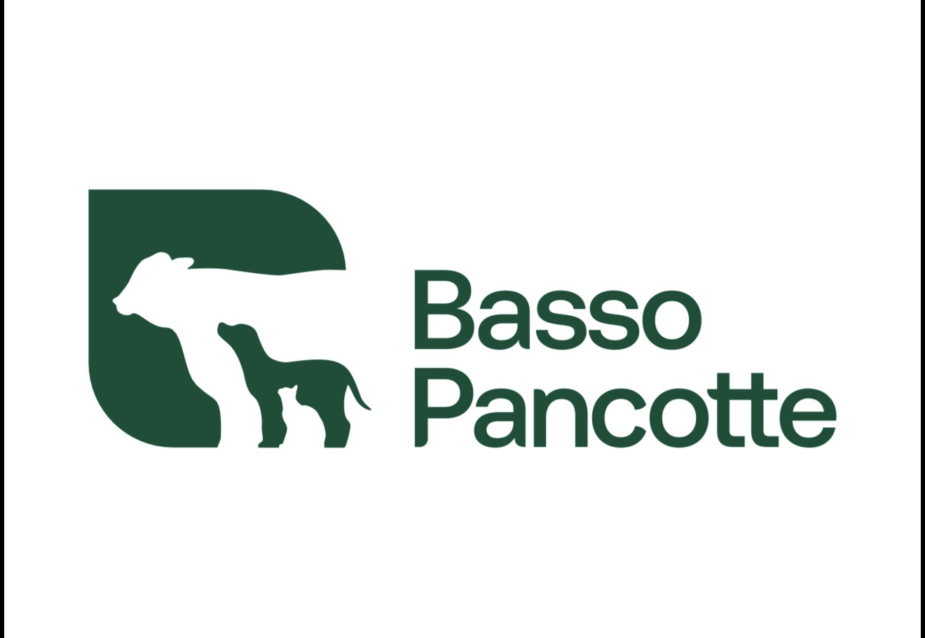 Logo Basso Pancotte LTDA
